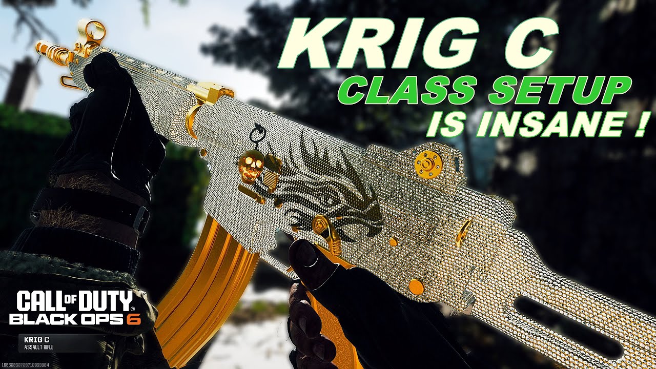The Best KRIG C Class Setup / Build in Black Ops 6 ( BO6)
