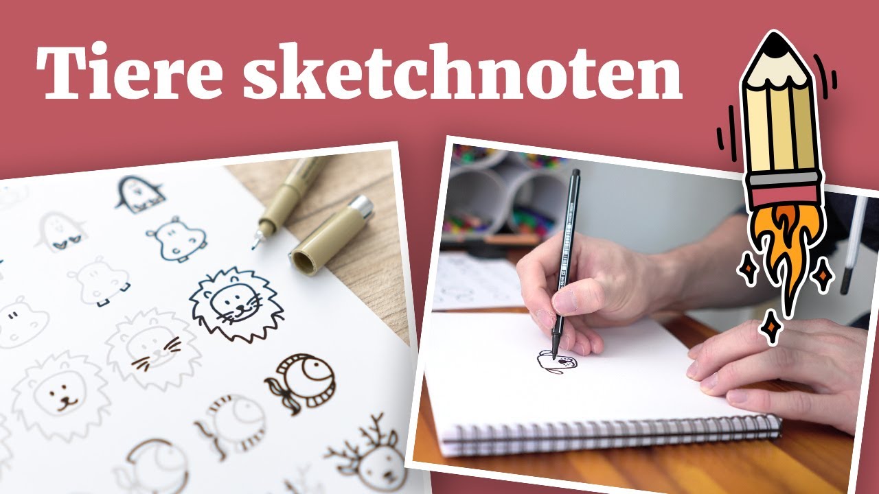 Sketchnotes Tiere entwickeln (inkl. Übungsblatt) | Einfache Grundformen