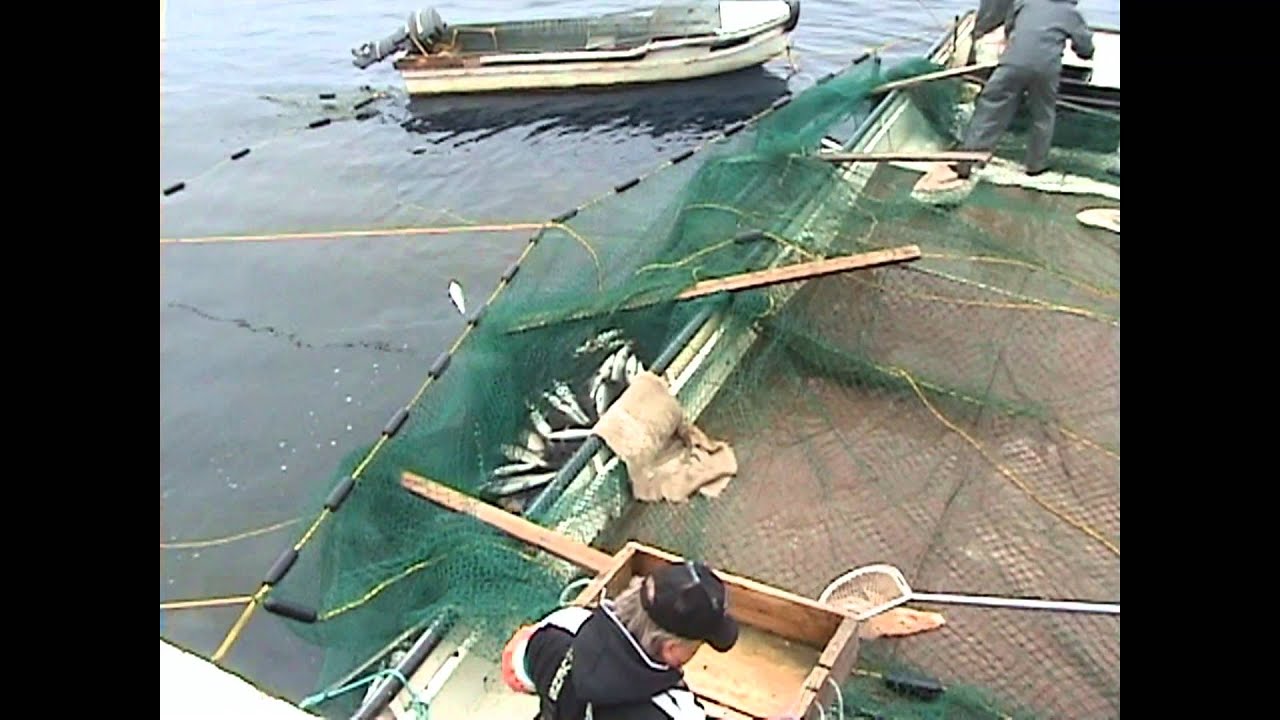 Siian rysäkalastusta Huron --järvellä Fishing whitefish on Lake Huron / Gauthier & Spaulding