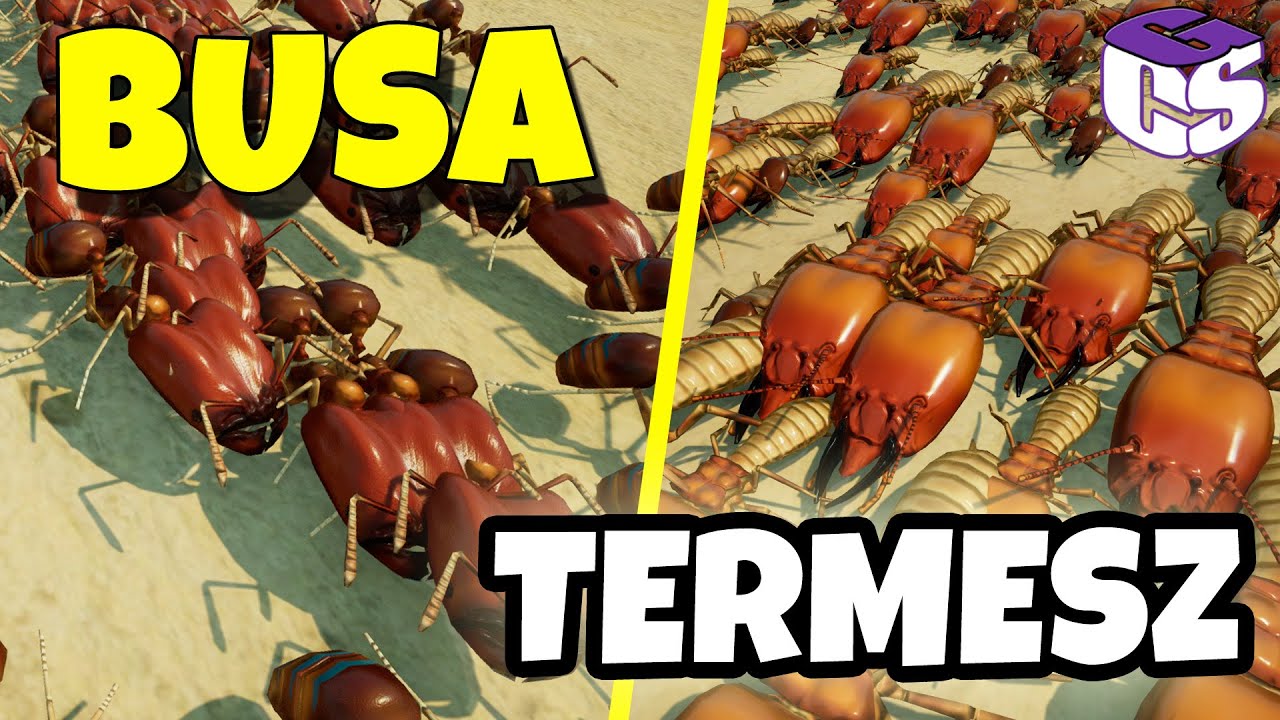 Termeszek VS Busahangyák VS Feketehangyák  - Empires of the undergrowth 1.0