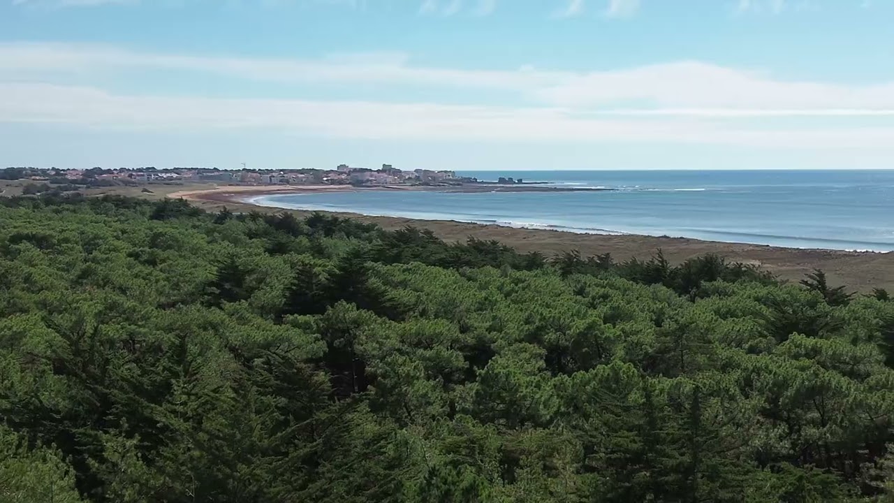 Entre mer et foret