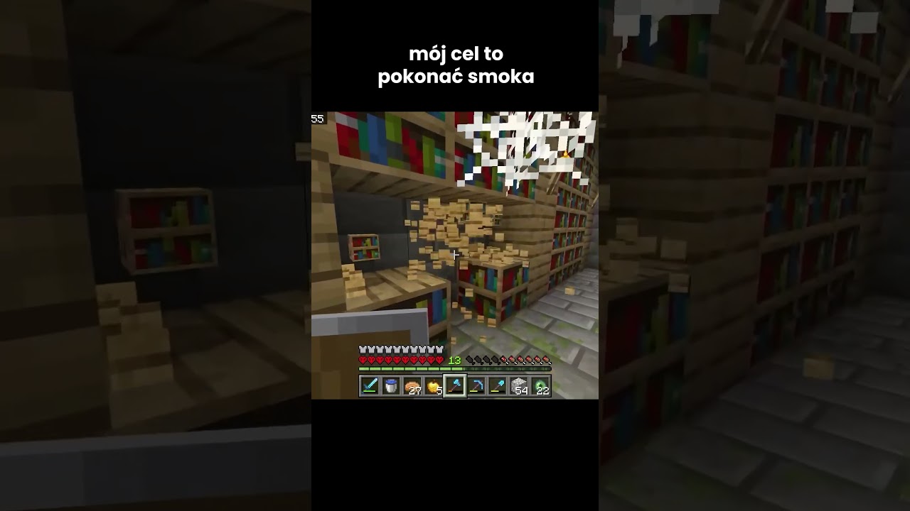 MY GOAL IS TO DEFEAT THE DRAGON!