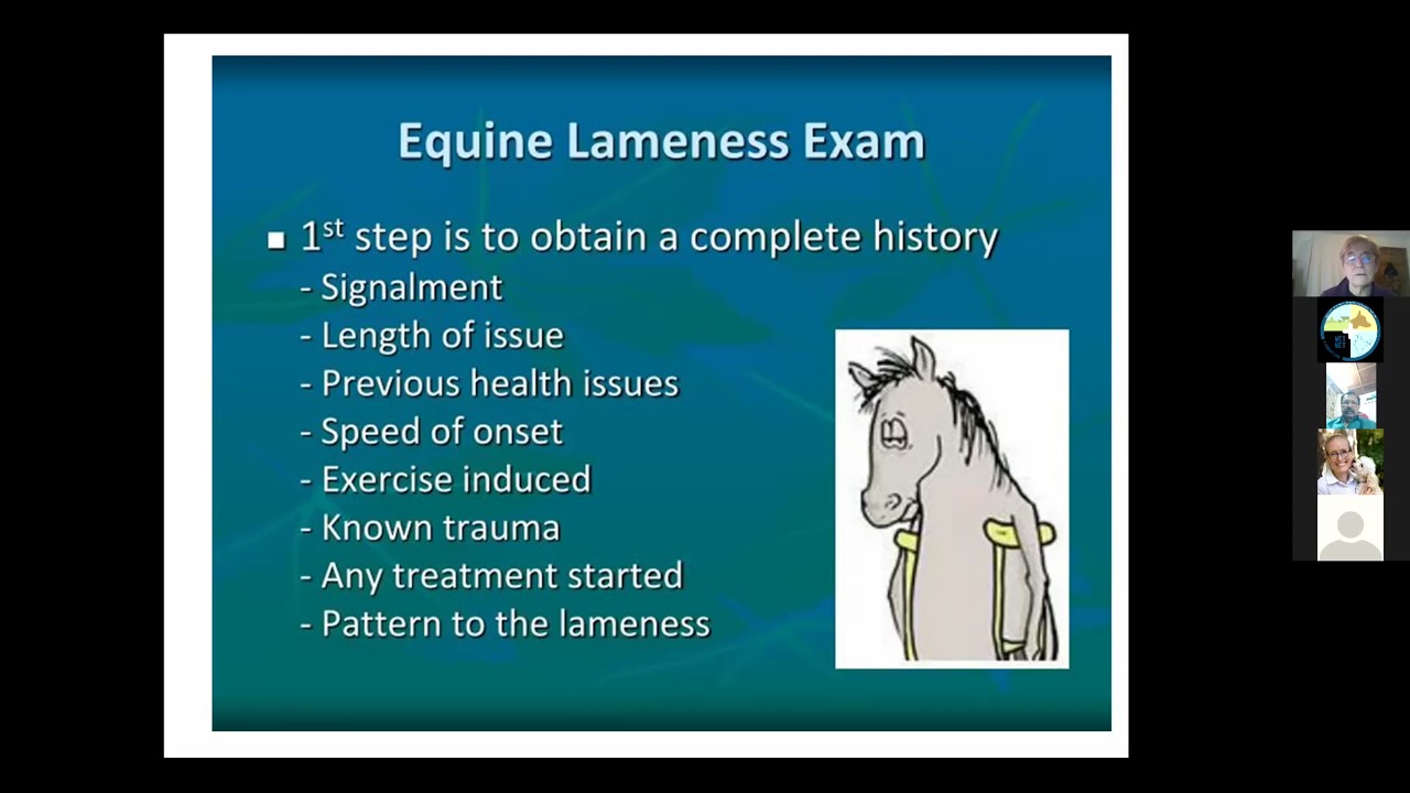 Lameness in horses