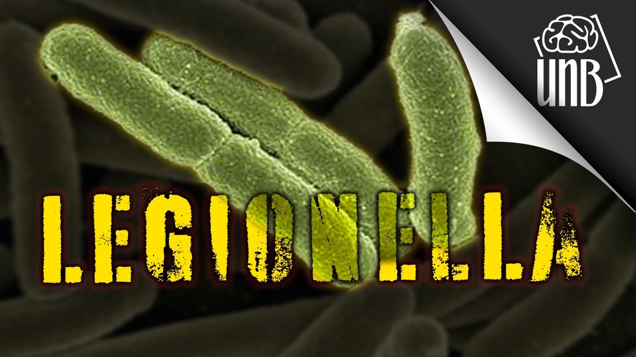 Legionella - zab&oacute;jca czyhający we mgle