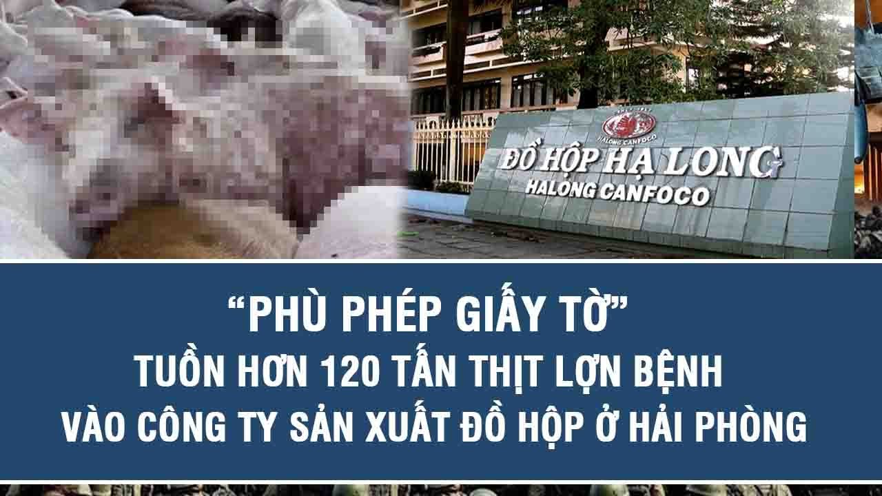 “Phù phép giấy tờ” tuồn hơn 120 tấn thịt lợn bệnh vào công ty sản xuất đồ hộp ở Hải Phòng