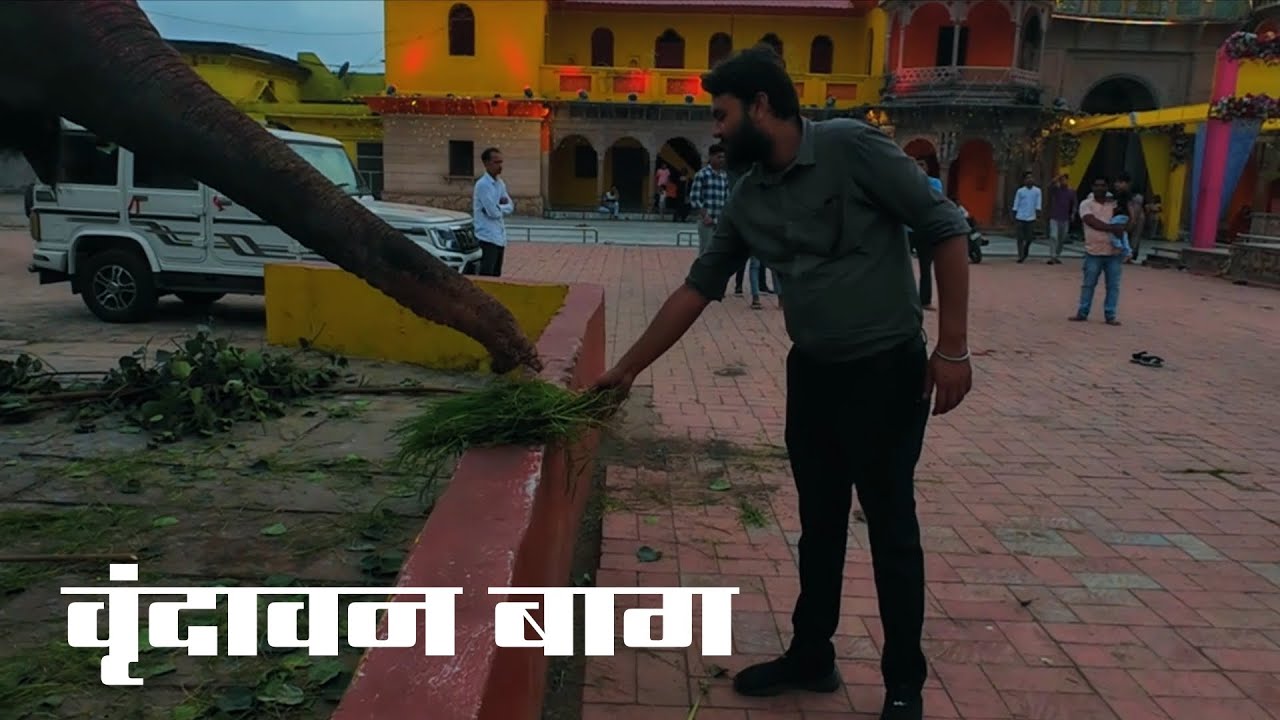 वृन्दावन बाग सागर  | vrindavan bag shot on dji action 4 