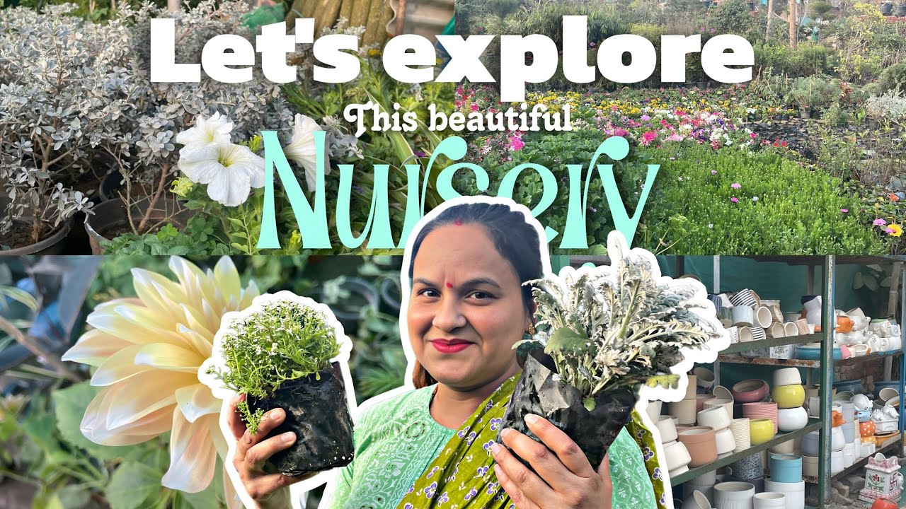 Let's explore this beautiful nursery 