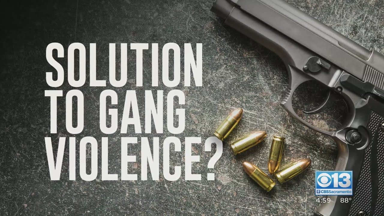 Getting Answers: Is There A Solution To Gang Violence?