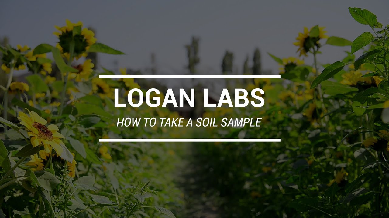 How to Take a Soil Sample