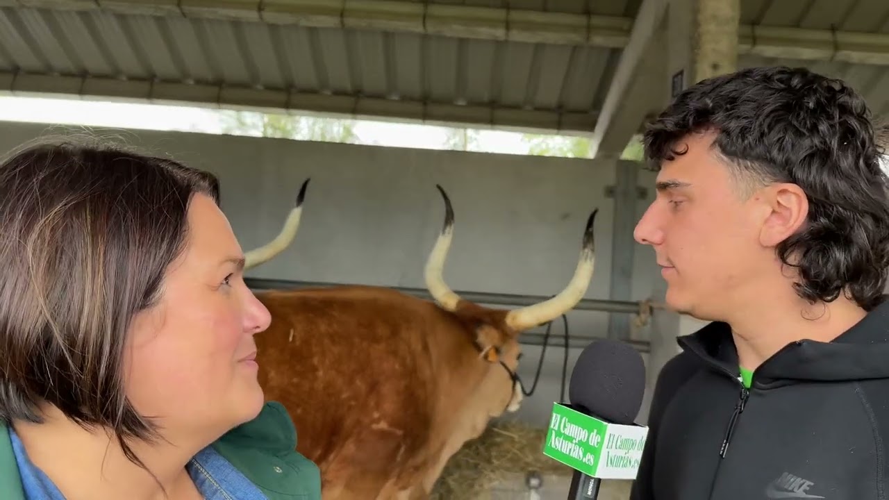 Raúl Nogueira de GanaderíaMario Noriega de Quiroga (Lugo) en la feria de #sanisidro de #llanera.