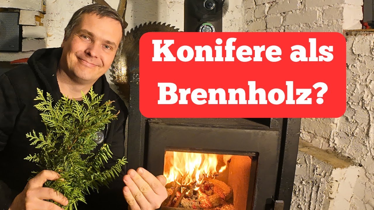 Konifere als Brennholz nutzen?