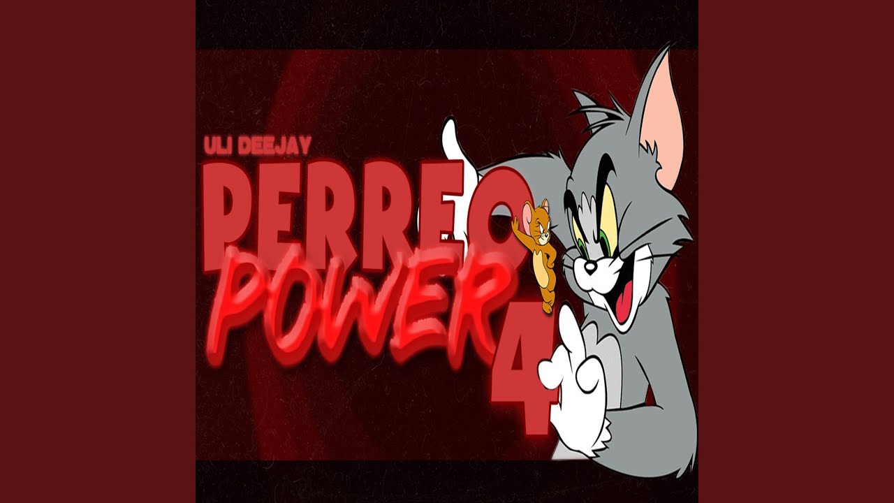 PERREO POWER 4