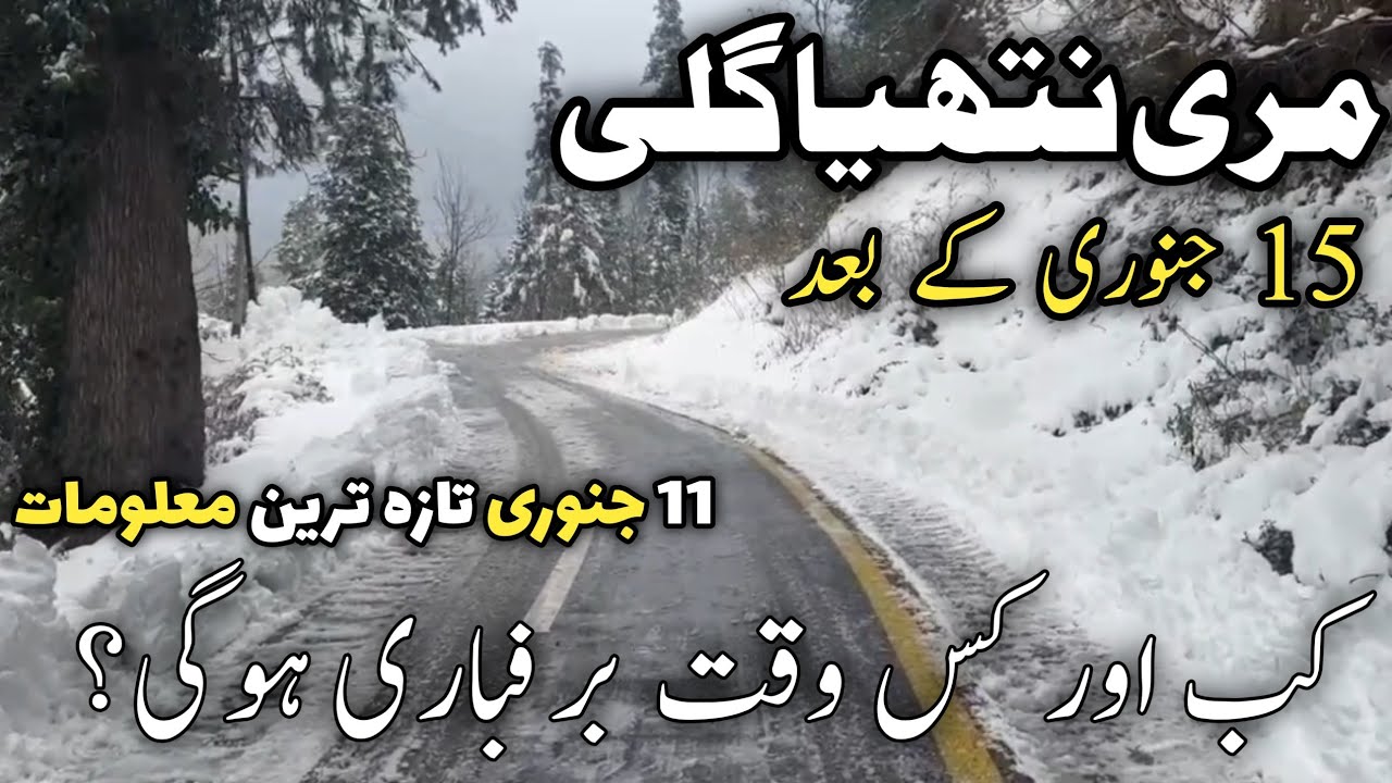 Murree live today | #murree nathiagali #snow | when next snowfall in murree nathiagali | barfbari