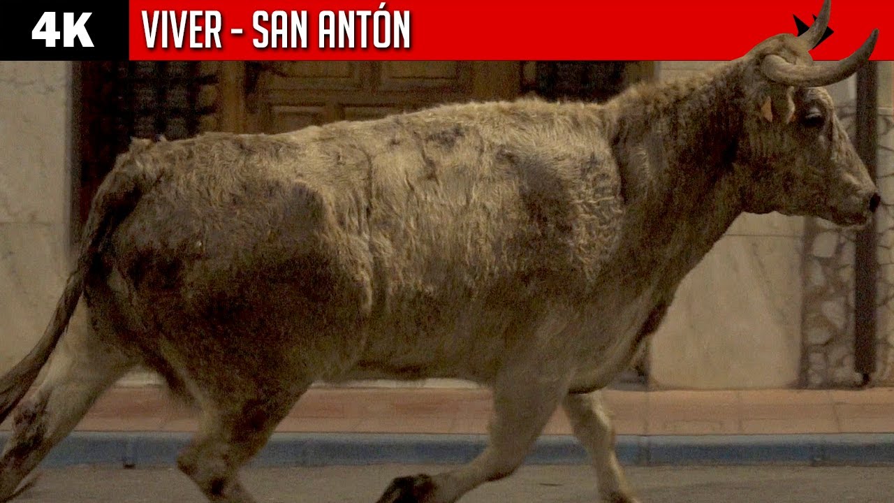 VIVER ▪ DESAFÍO GANADERO ▶ Ramón Benet VS Capota