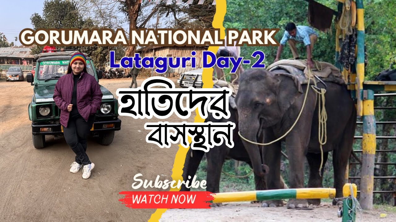 Gorumara National park || MAHAKAL Mandir || ডুয়ার্স ভ্রমণ || Jalpesh shiva temple  || gypsy safari