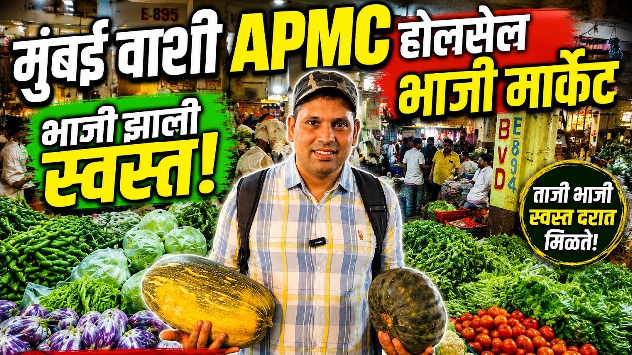 Mumbai Vashi Bhaji Market 🍅 | Vashi APMC Sabji Mandi | Wholesale Vegetable Market In Mumbai 