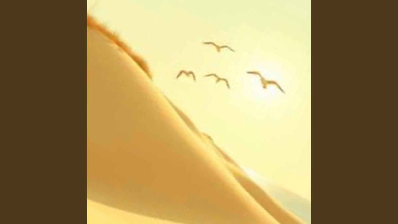 Sylt, ich liebe dich 360 Grad