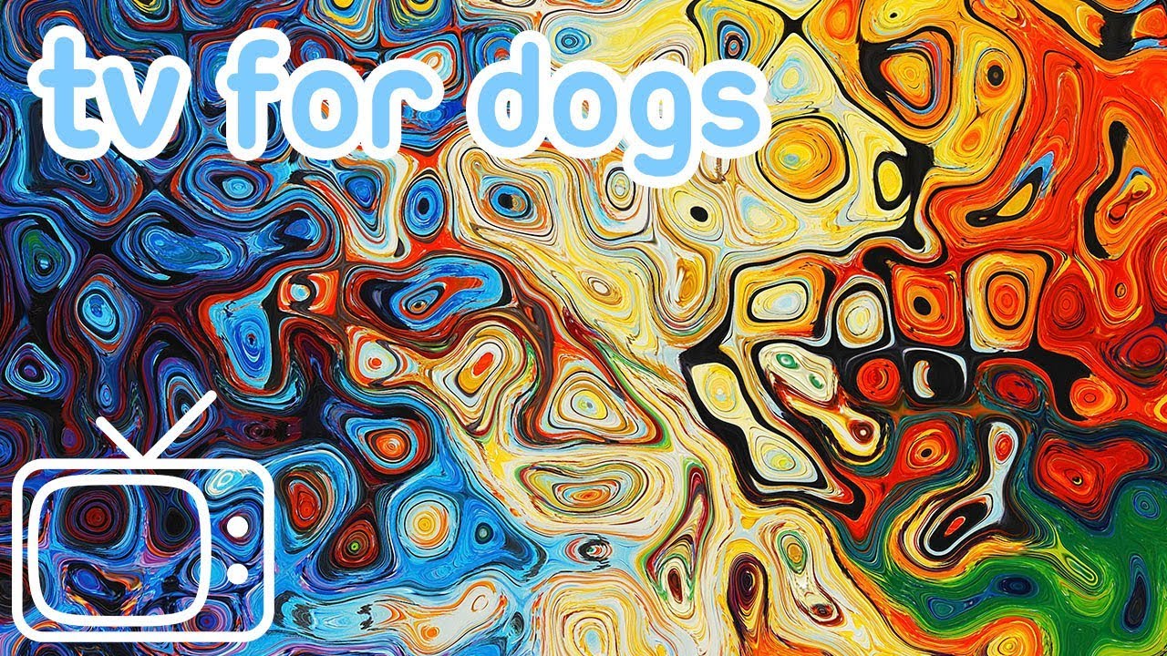 Videos for Dogs to Watch! Abstract Chillout Dog TV Entertainment with Music!