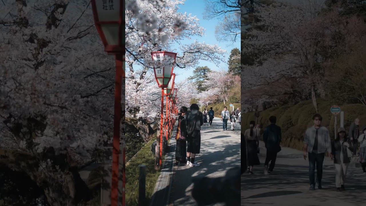 Greatest EDC Camera ever? 