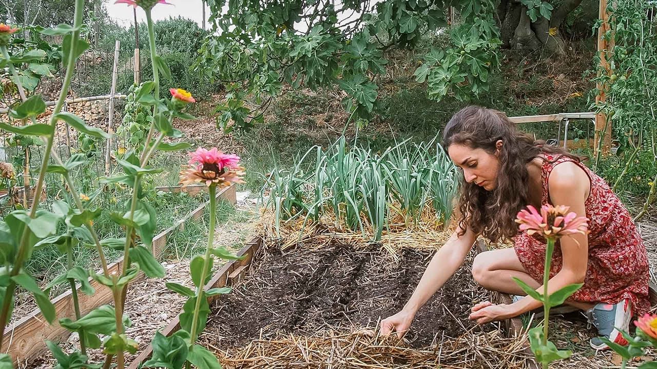 Preparando Cultivos de Otoño | Siembra de zanahorias y guisantes