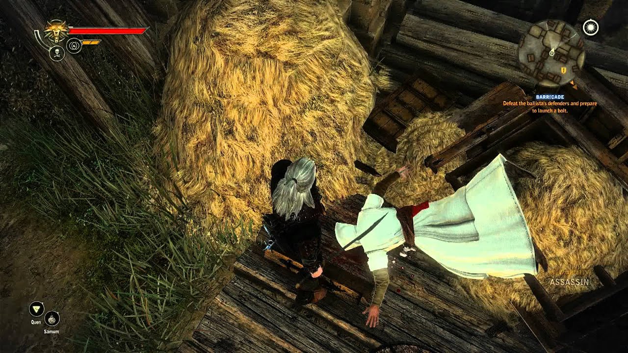 The Witcher 2 - Assassin's Creed Easter Egg