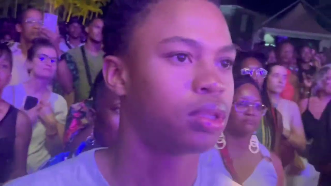 Fanny J fait vibrer le public du festival Terre de Blues 2024