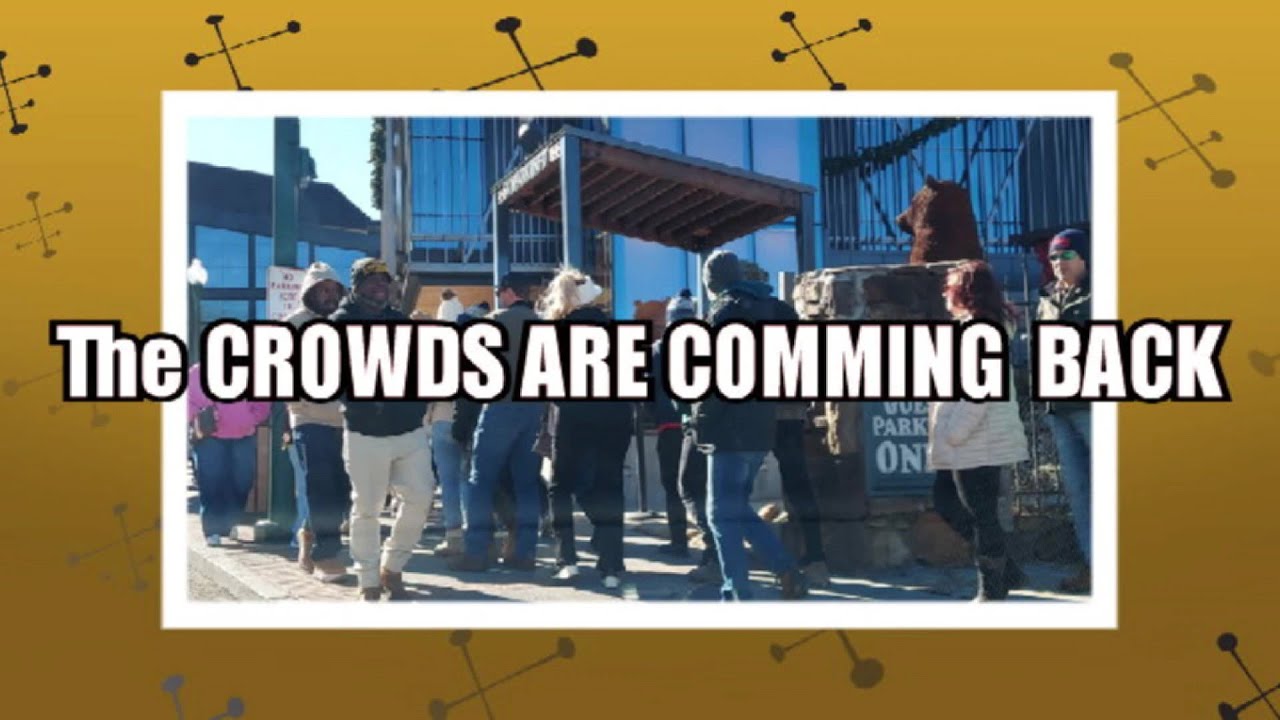 THE CROWDS ARE COMING BACK!!!