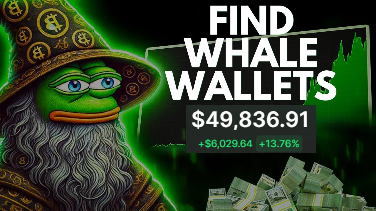 Find Winning Solana Whale Wallets Easily For Copy Trading