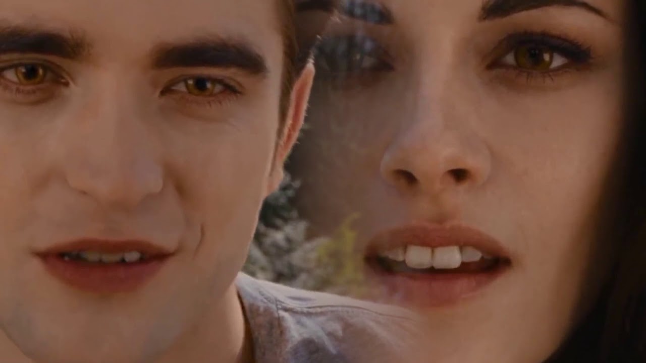 Twilight: A Flashback