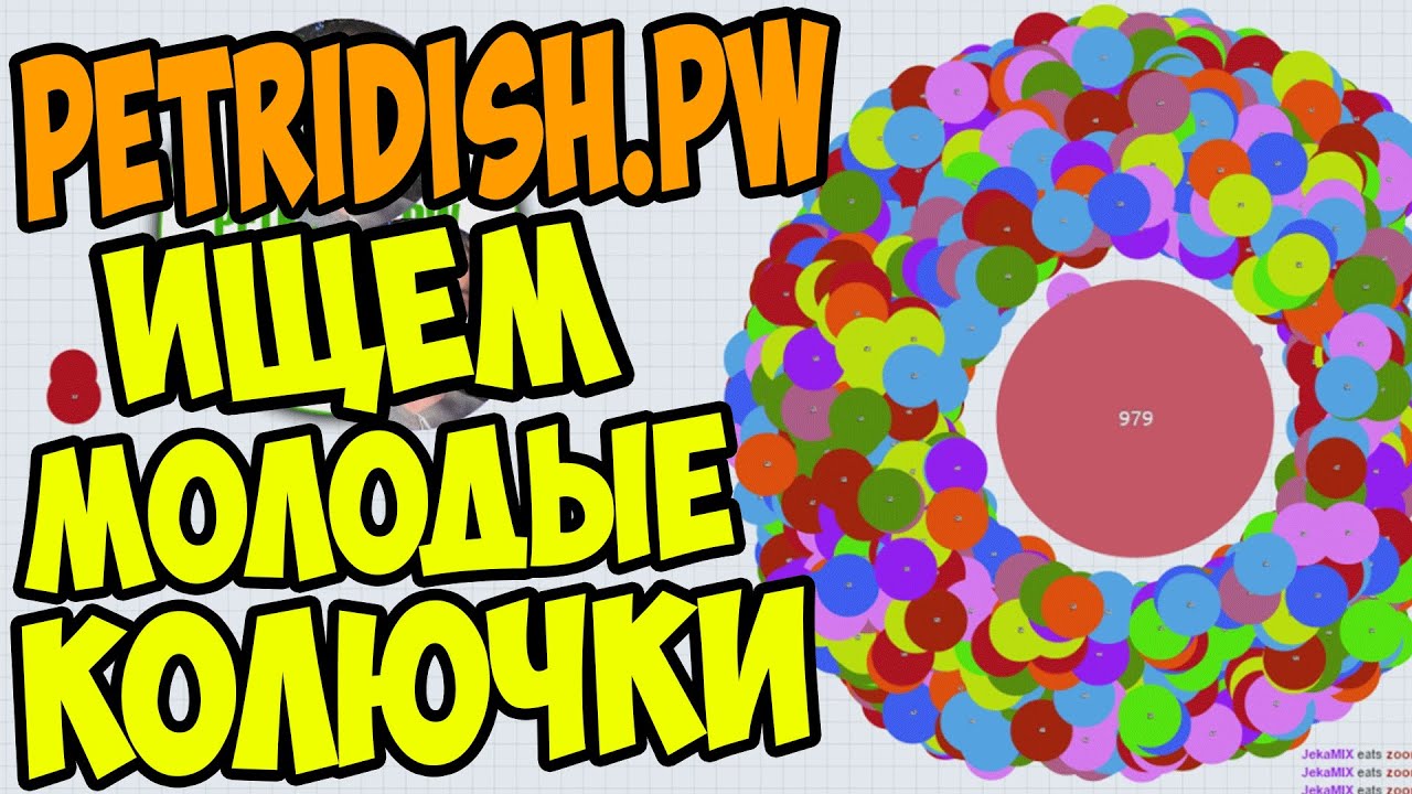 PETRIDISH.PW | # 10 | ВЕСЁЛЫЕ ЭКСПЕРИМЕНТЫ