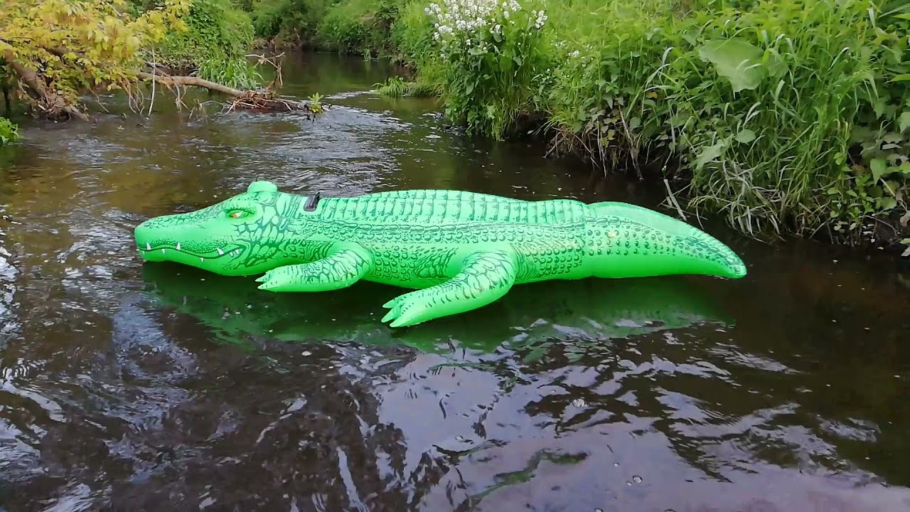 INTEX 58562 - Inflatable Big Beach Green Crocodile 203 CM Floating on the River  - 19.05.2019