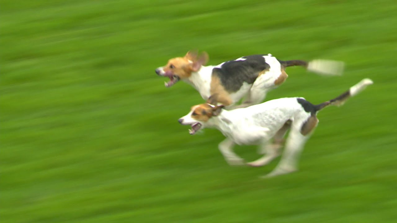 Epic finish to Hounds Trail at Carlisle