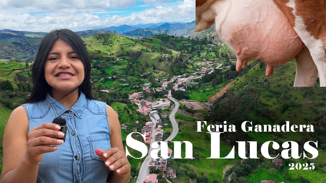 Los mejores ejemplares de ganado en San Lucas-Loja 🐮🐂🇪🇨