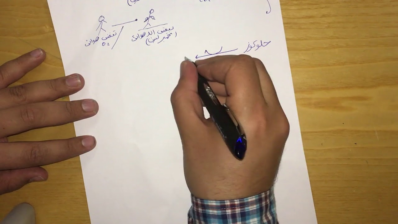 8 التخمر اللبني