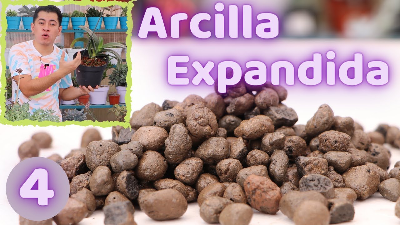 ARCILLA EXPANDIDA UN SUSTRATO NUEVO QUE DEBES CONOCER || USOS Y BENEFICIOS