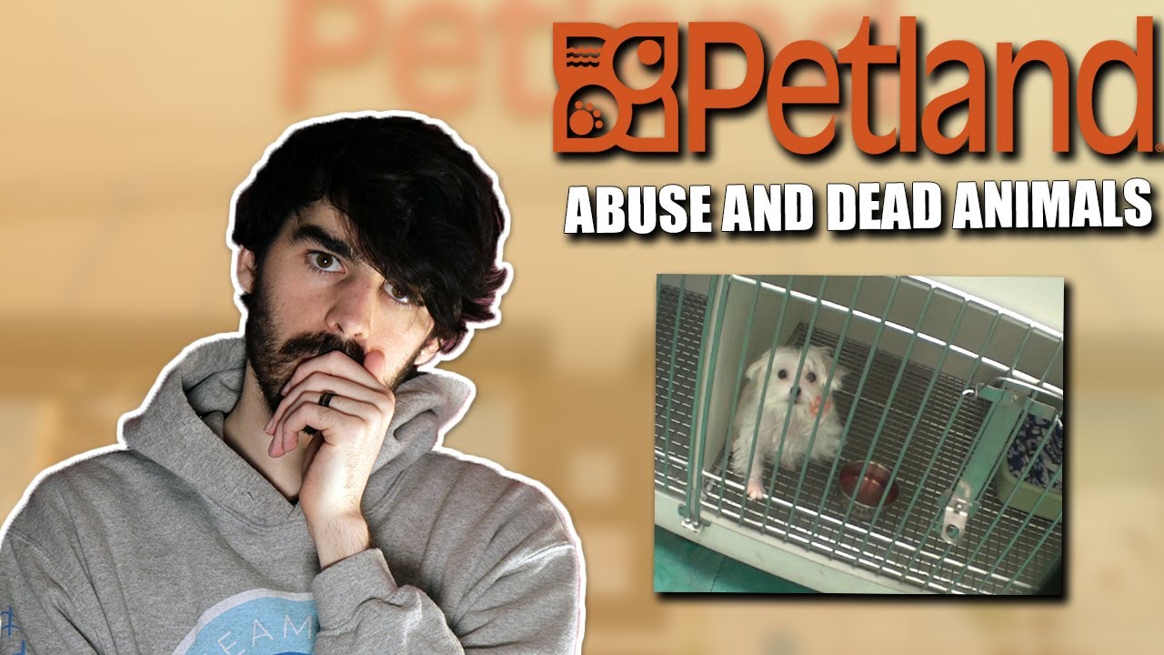 Horrific Animal Abuse: What Petland Doesn't Want You to See!