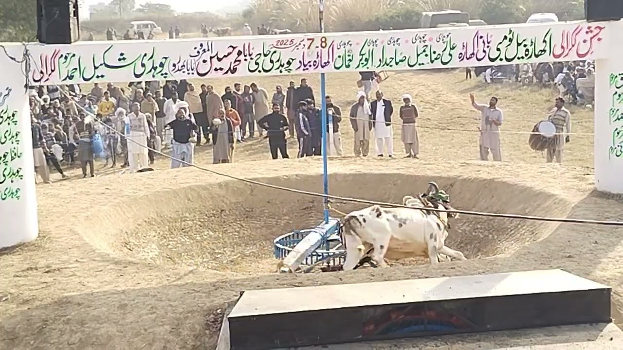 سپورٹ کرسو سنگت 😘🌹