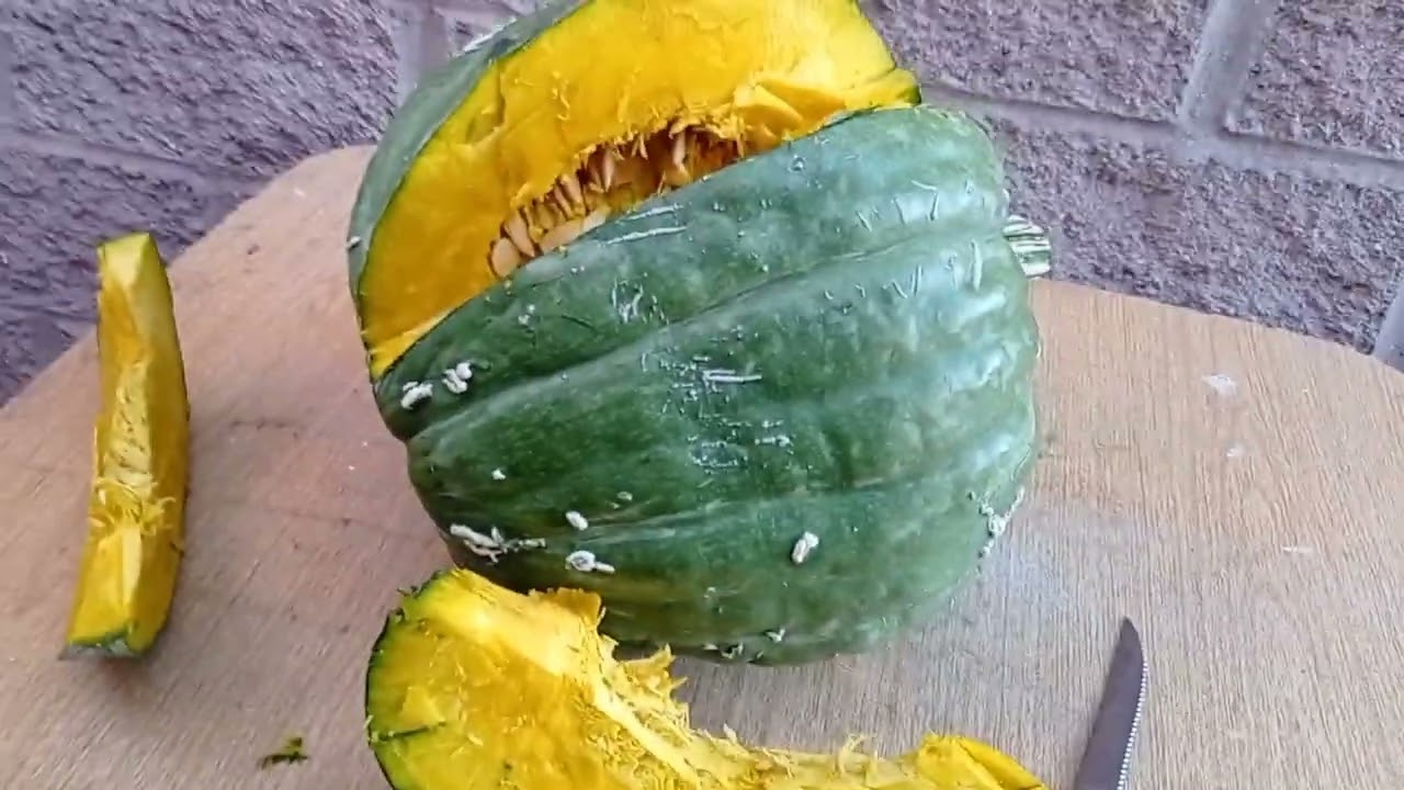 Cosecha de Zapallo