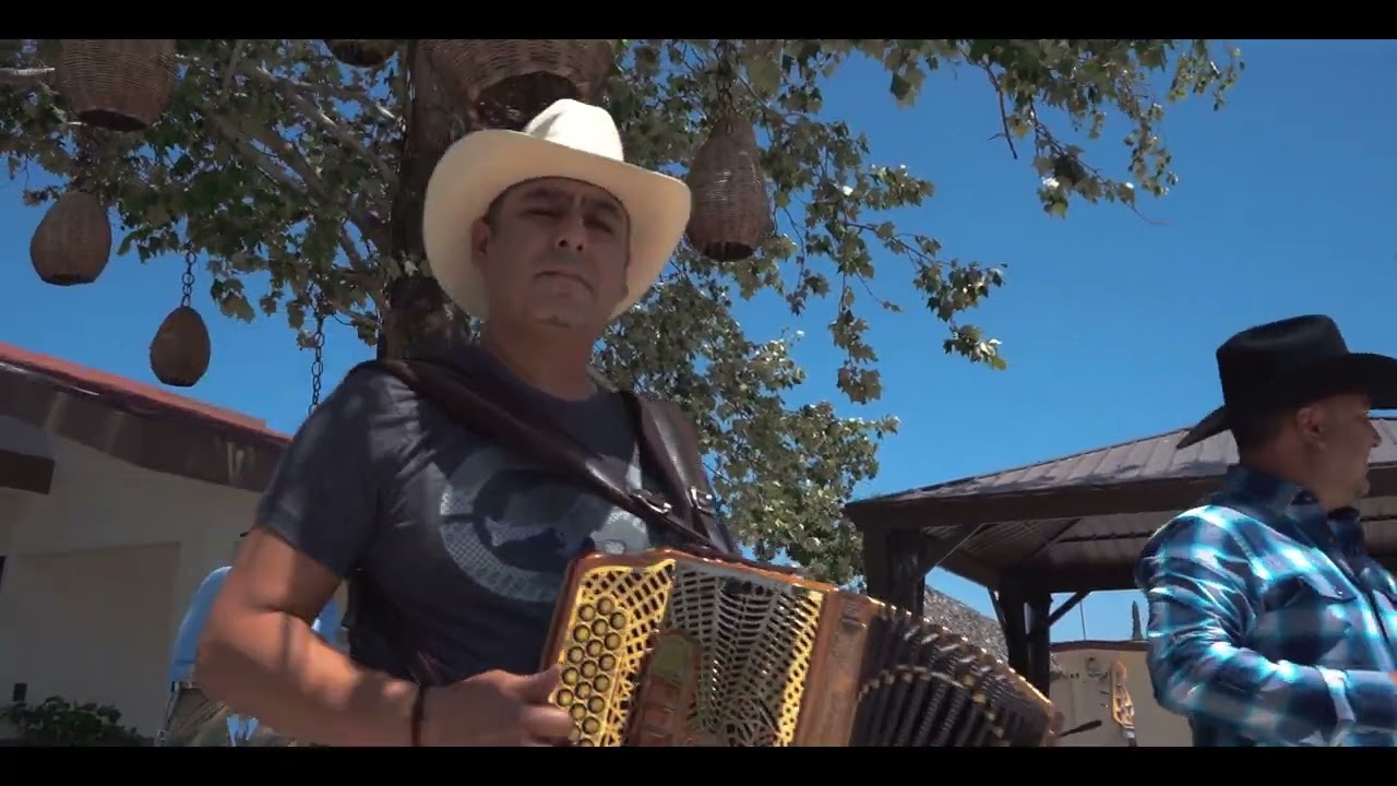 No llores mas Palomo