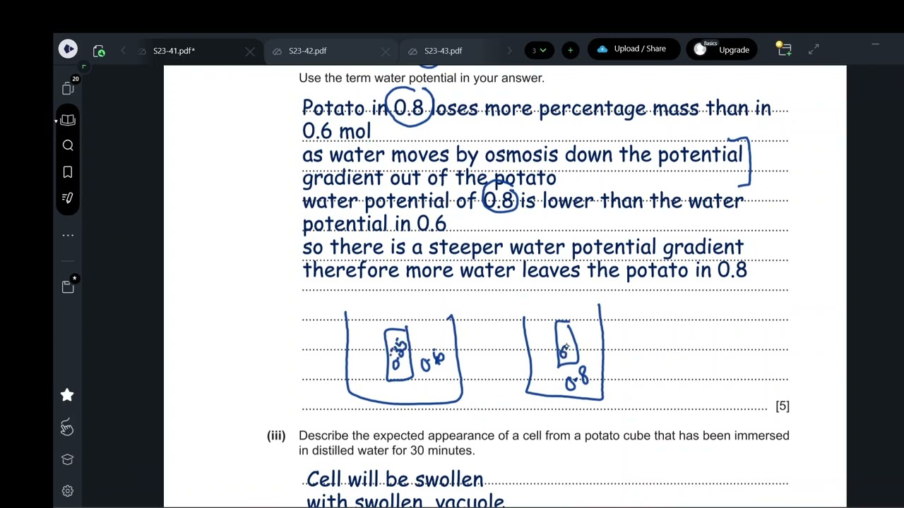 Paper 4 June 2023 41 Biology IGCSE (0610/0970)