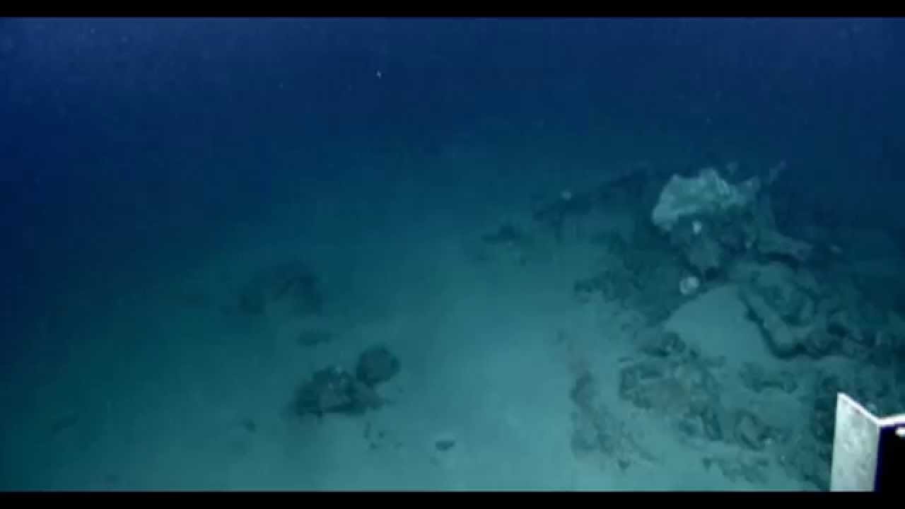Millions in Gold Found In Ocean Wreck