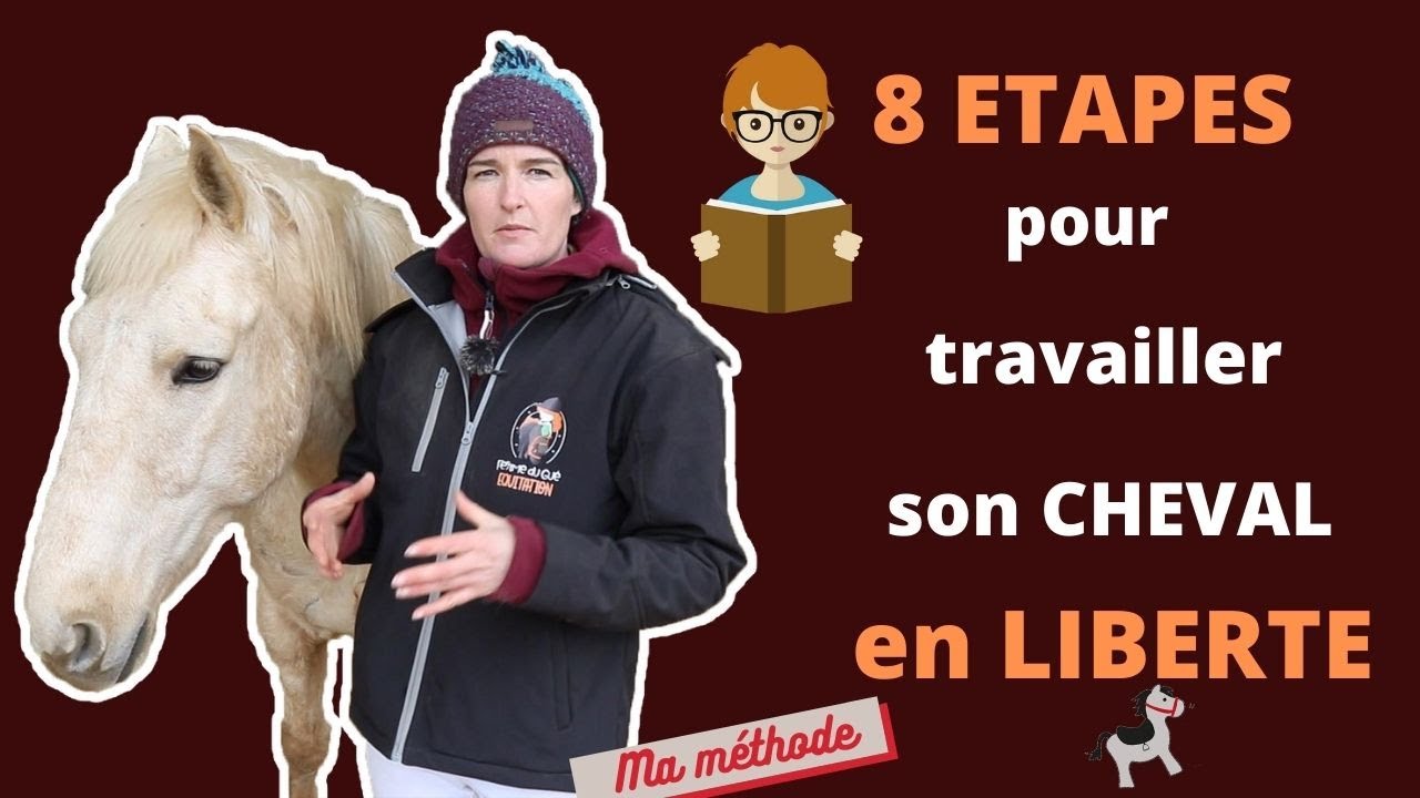 Travail en liberté : Comment apprendre à son cheval à nous suivre ? 8 étapes