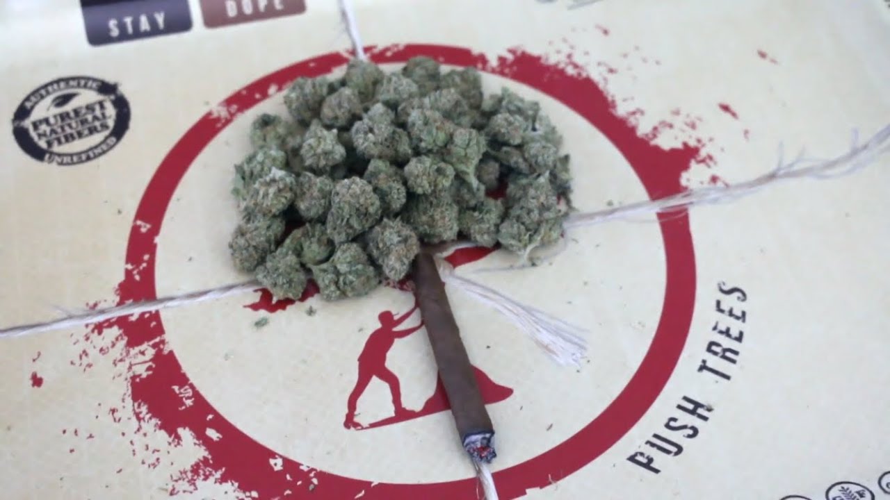 PUSH TREES!