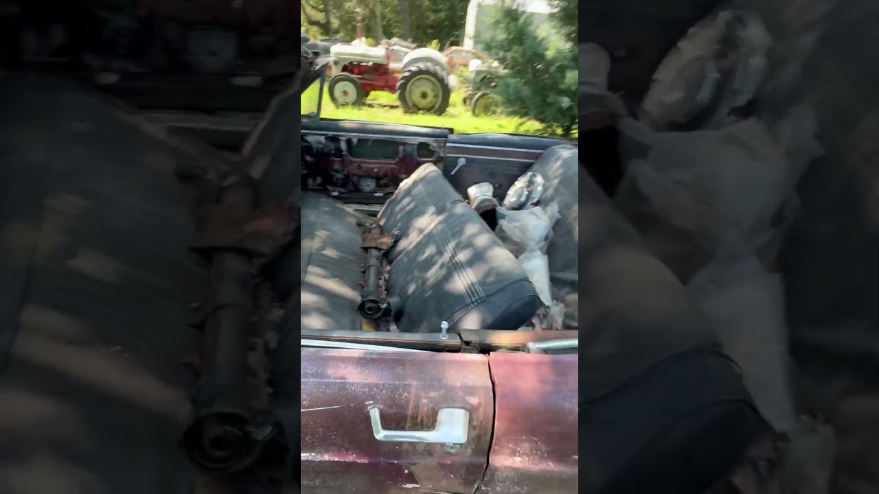 1966 Ford Fairlane Convertible! #music #automobile #fomoco #fairlane #viral #shorts #viralvideo #289