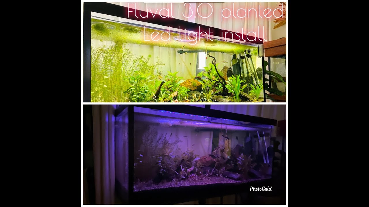 Fluval 3.0 plant Led light install