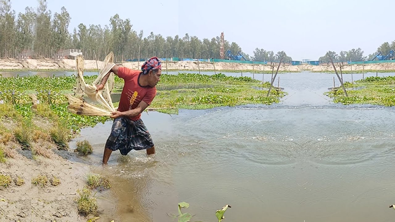 Rural Fishing Video in Village - New Fishing Video - Amazing Cast Net Fishing