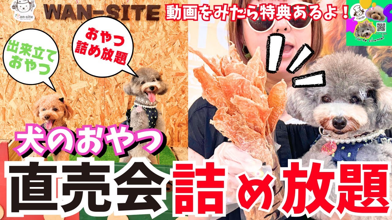【驚愕】直売会で犬のおやつ詰め放題がコスパ最高！凄すぎた！最後この動画を見た方に豪華特典あり💚【wan-site】【コラボ】