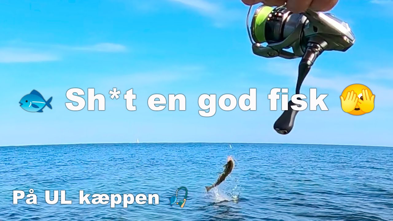 🐟 Uha en fisk jeg mister 🫣 Havørred fiskeri 🎣