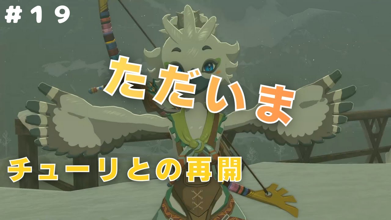 【ゼルダの伝説 ティアーズ オブ ザ キングダム】｜成長はあっという間＃１９【ながら見推奨実況】