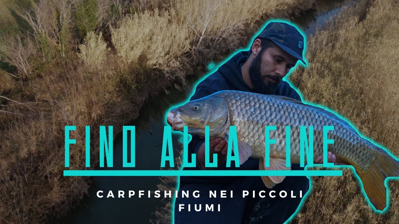 CARPFISHING 2024 - LE CARPE DEI PICCOLI FIUMI - Con l'Esca giusta tutto è possibile **KRILLHA**